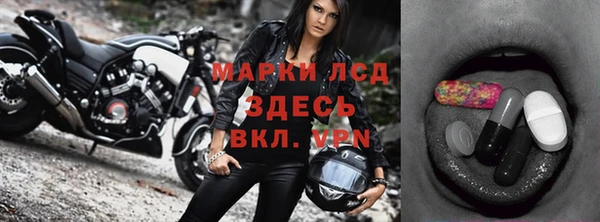 амф Верея